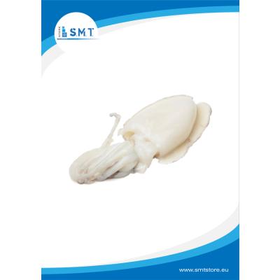 Seppie Pulite Marocco IQF 800/1000 8Kg