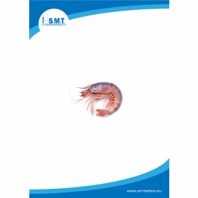 Gamberi viola siciliani 1x1kg c/bordo